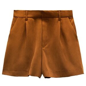 Zara Pleated Shorts